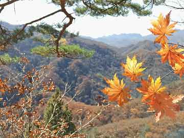 大众和保时捷高层调整 明年2月1日生效